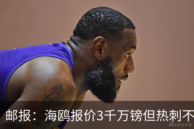 邮报：海鸥报价3千万镑但热刺不愿卖武什科维奇 巴萨国米拜仁关注