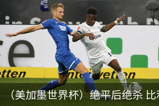 （美加墨世界杯）绝平后绝杀 比利时队3:2逆转塞内加尔队晋级